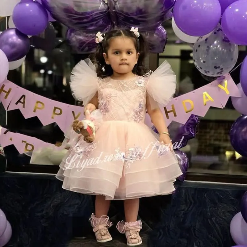6M-12yrs Baby Beautiful flower Child embroidered Baby wedding party princess dress kids wear