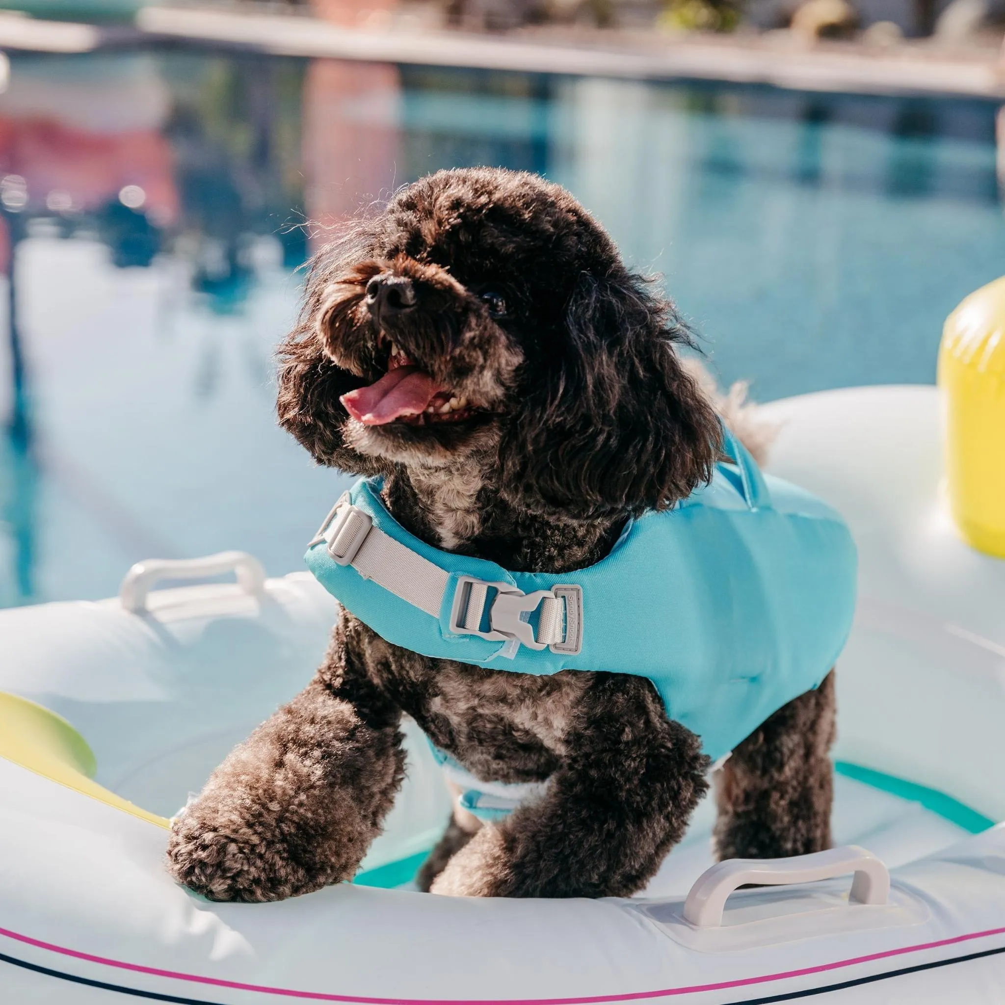 Caribbean Green Dog Life Jacket