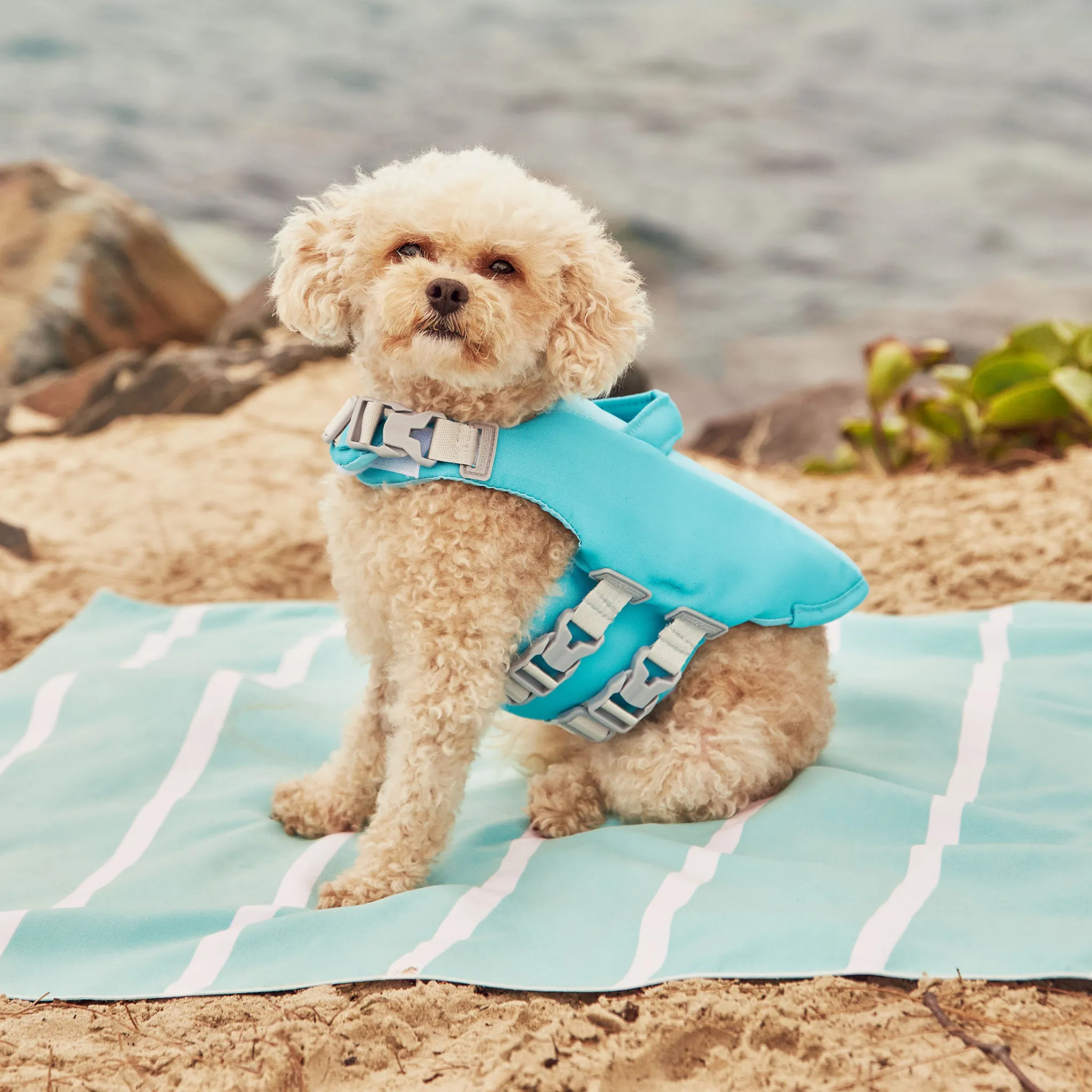 Caribbean Green Dog Life Jacket