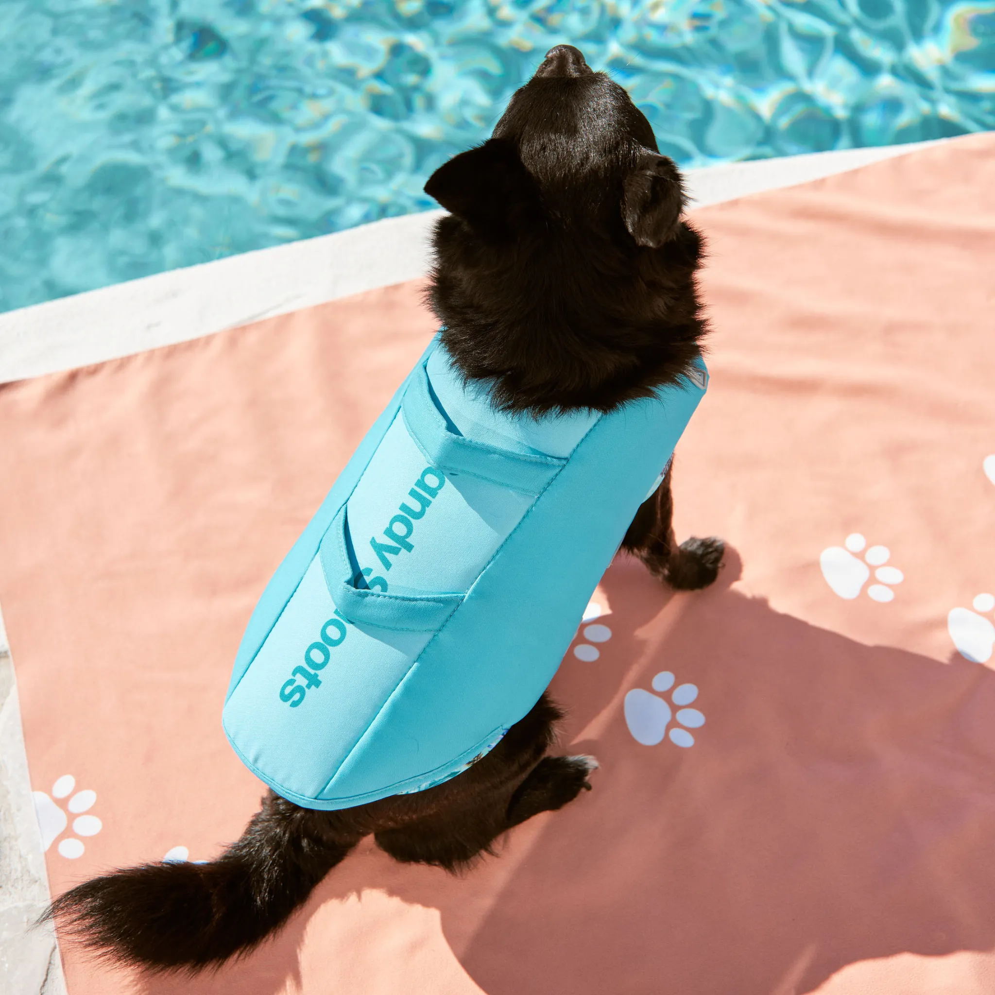 Caribbean Green Dog Life Jacket
