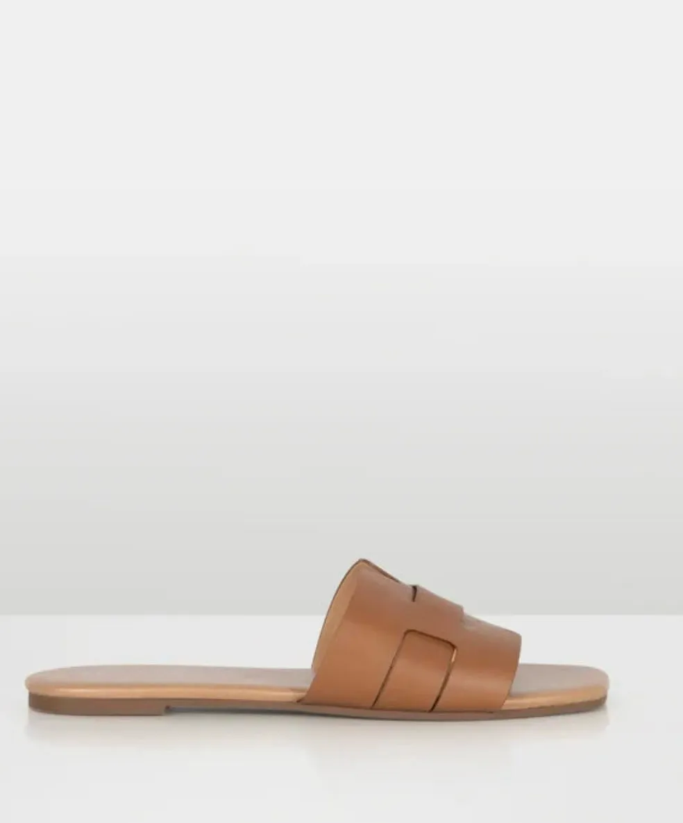 Dittany Tan