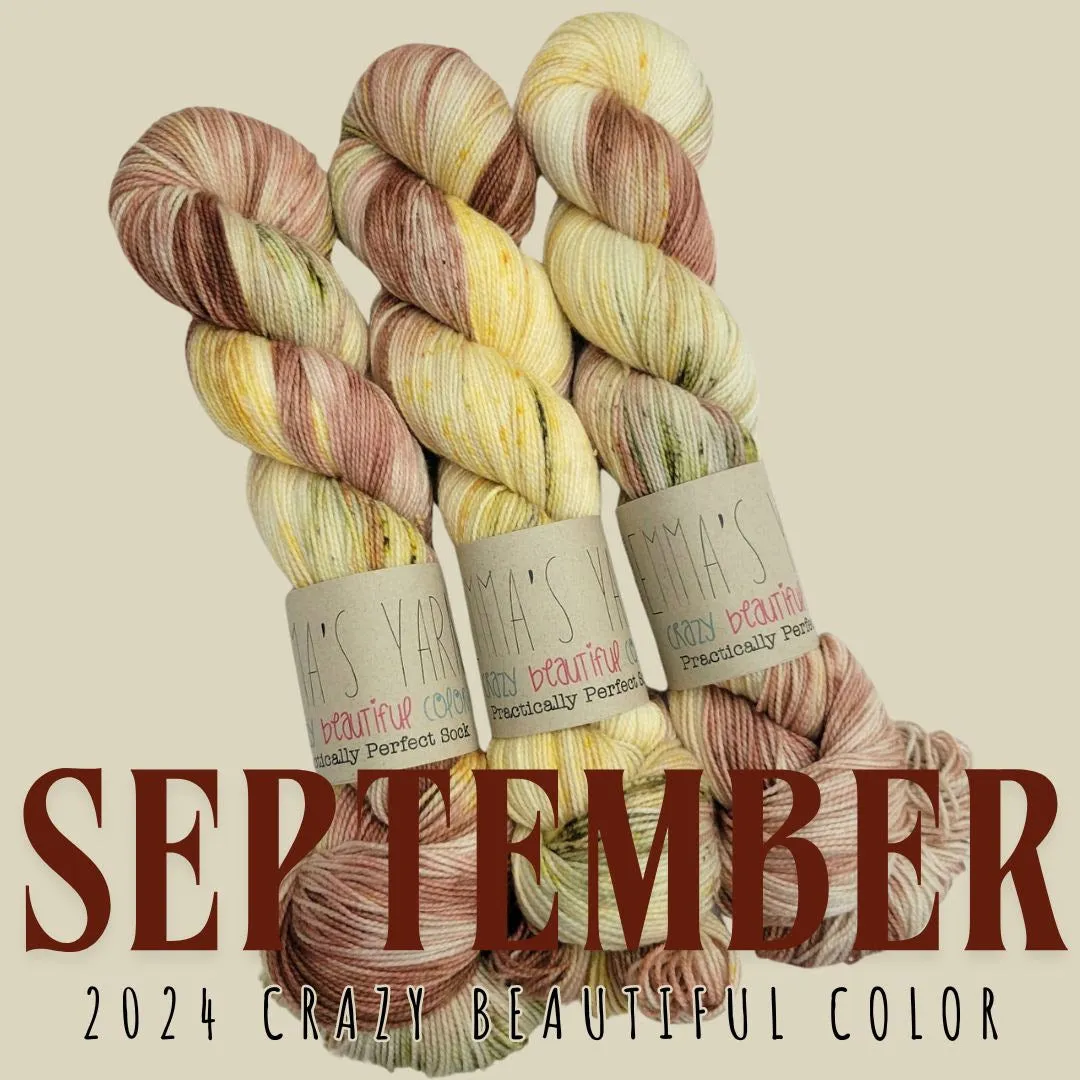 Emma's Crazy Beautiful Club - Practically Perfect Sock