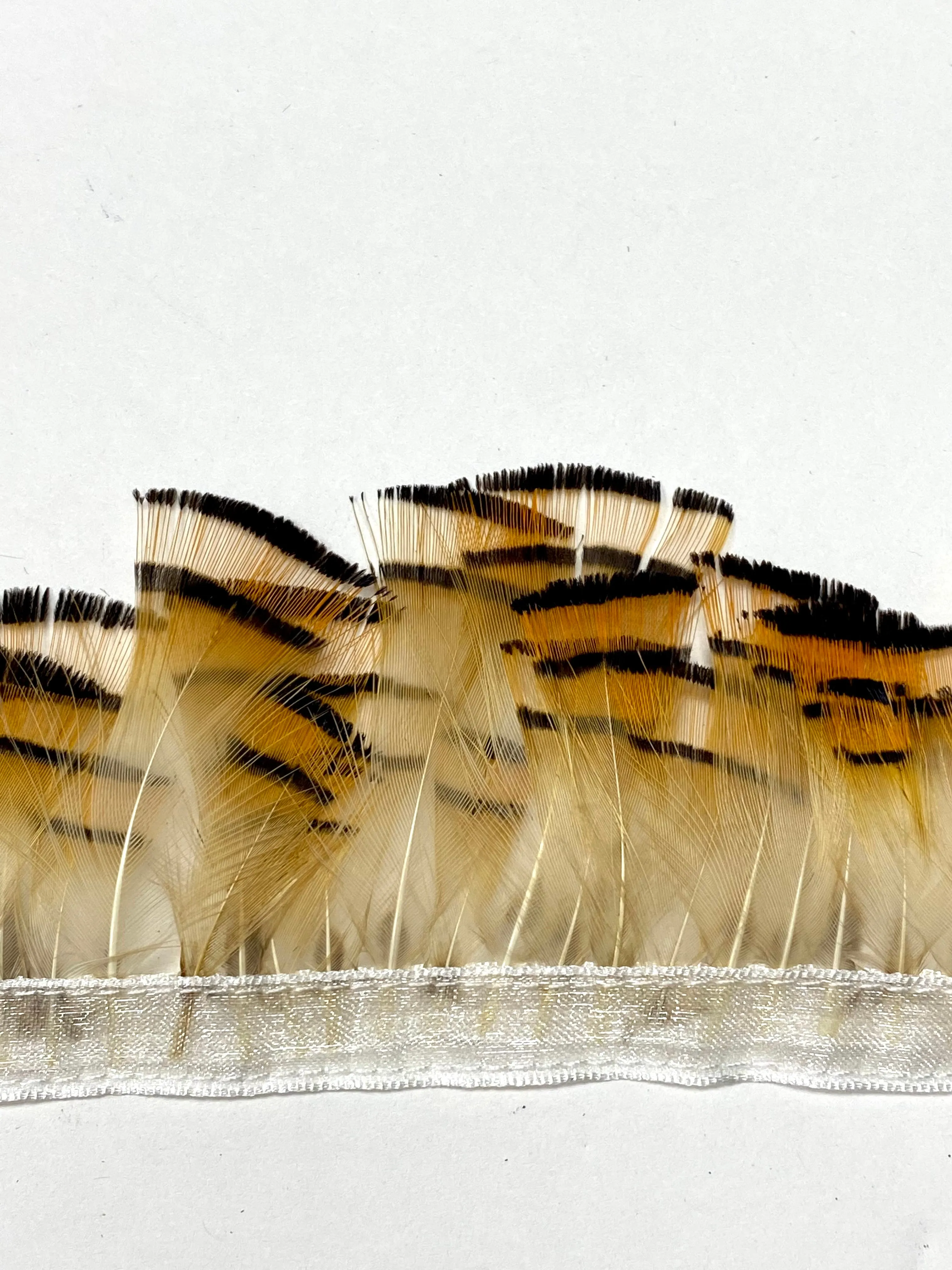 Grouse Fringe