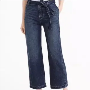 J. Crew Rayner Cropped Wide Leg Denim Jeans with Removable Tie Belt- Size 31