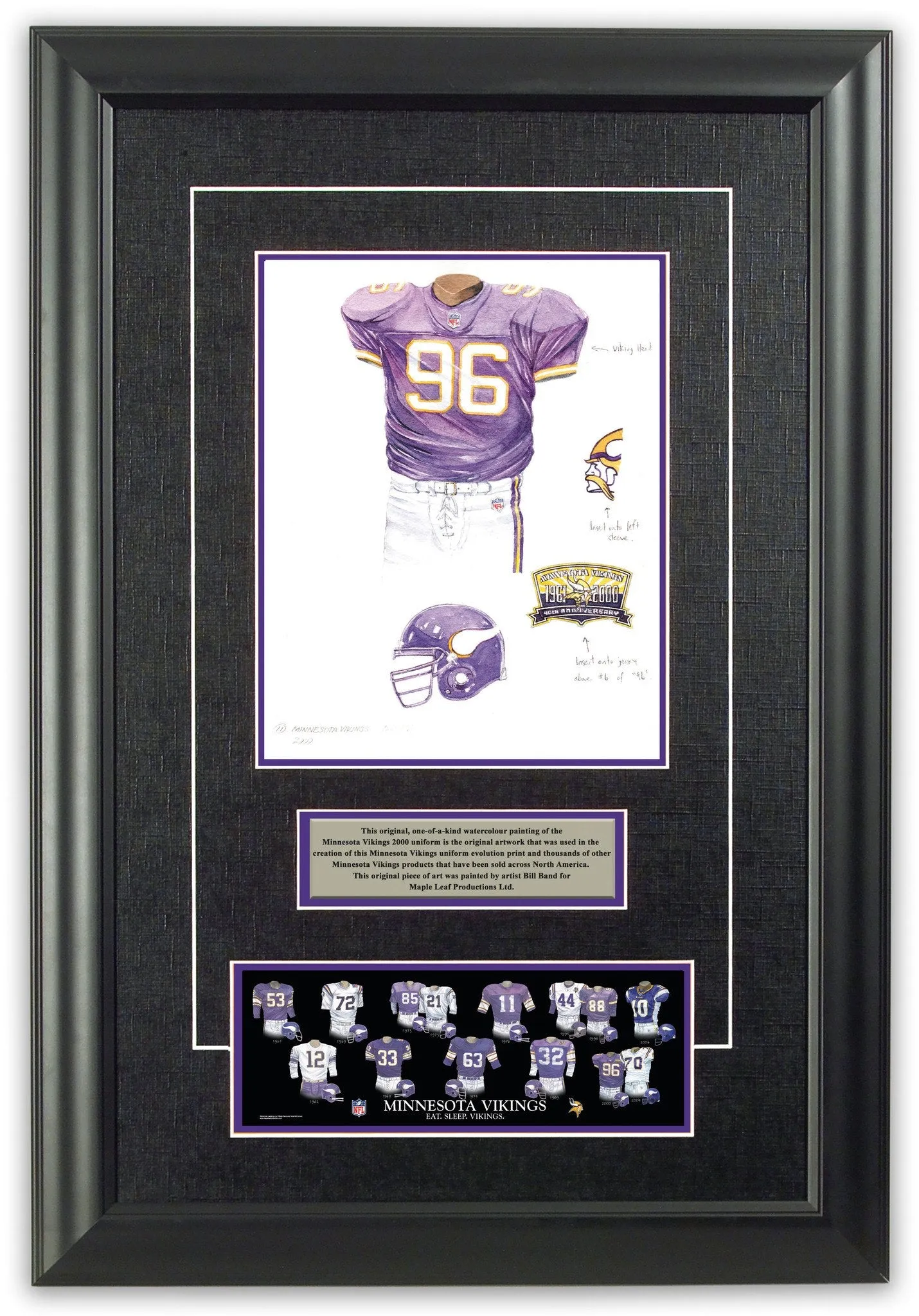 Minnesota Vikings 2000