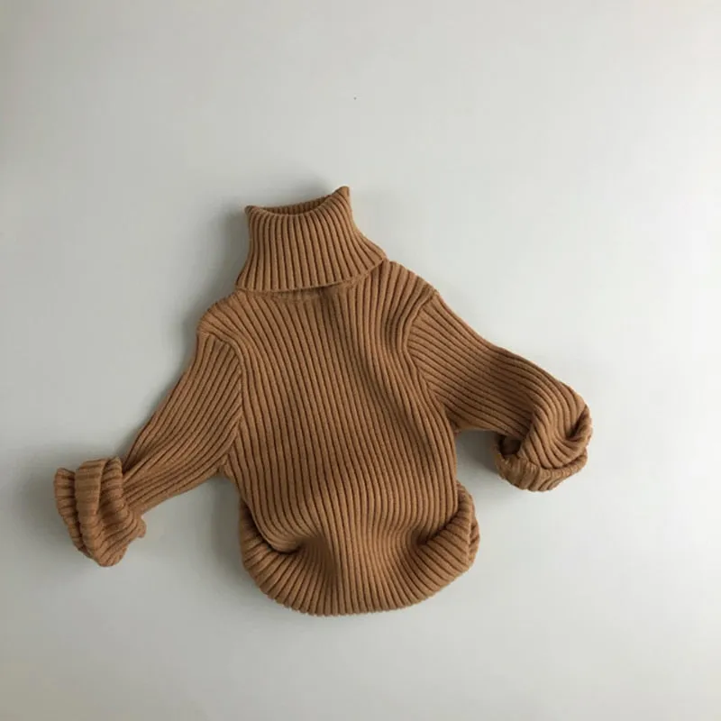 Turtle Neck Sweater