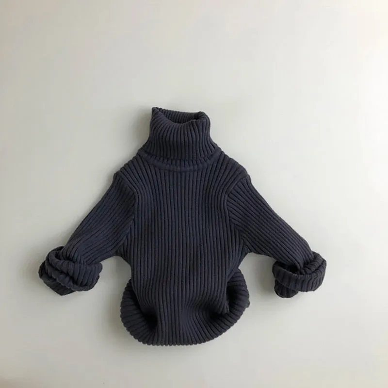 Turtle Neck Sweater