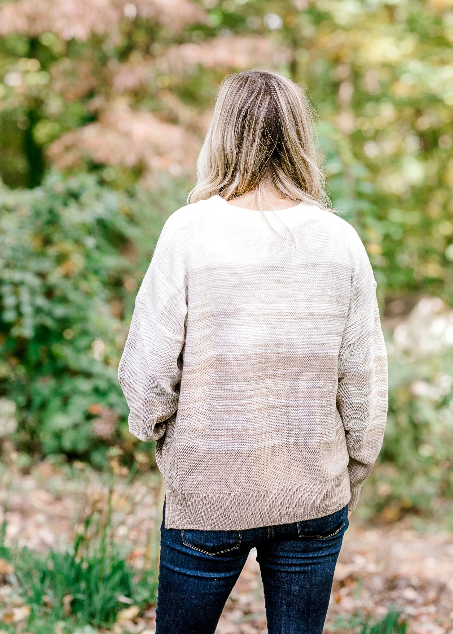X Soft Horizon Taupe Combo Sweater